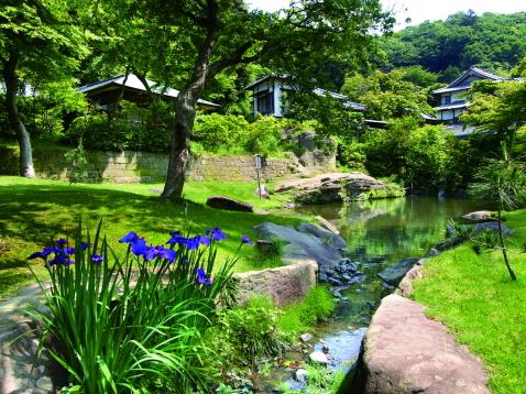円覚寺 妙香池