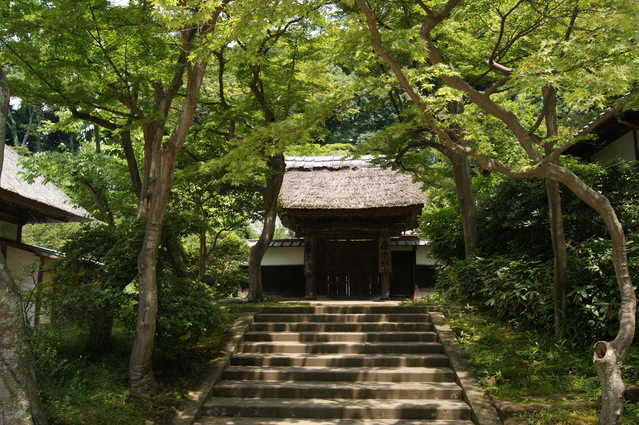 円覚寺 居士林