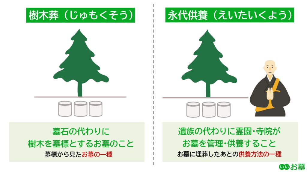 樹木葬と永代供養の違い(樹木葬はお墓の種類、永代供養は供養方法)